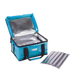 Labcold Vaccine bag 10L